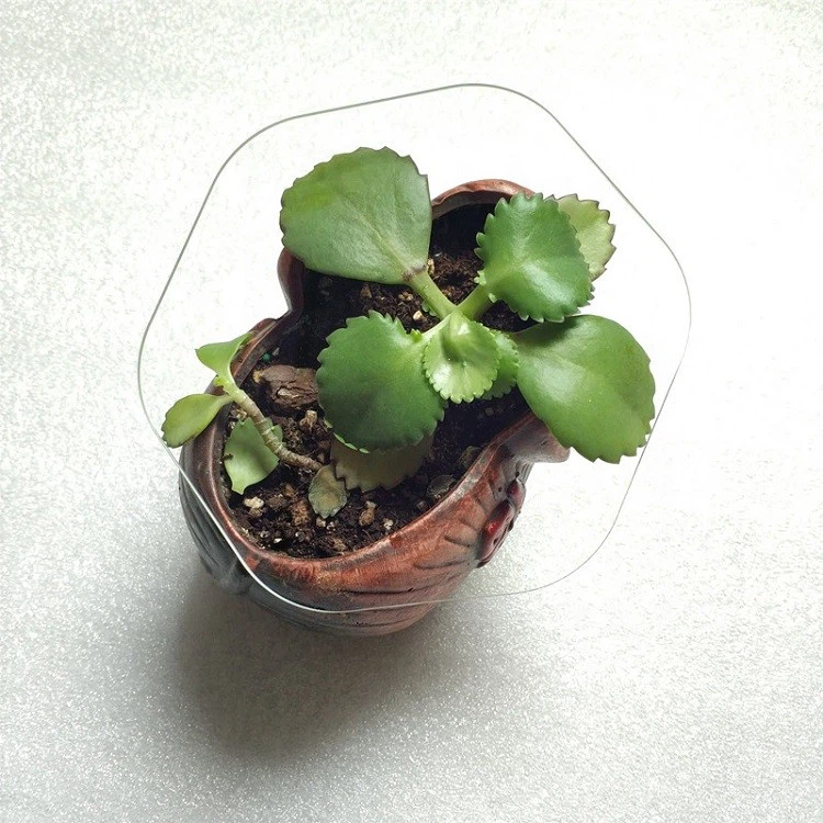 Non Glare Glass Coating